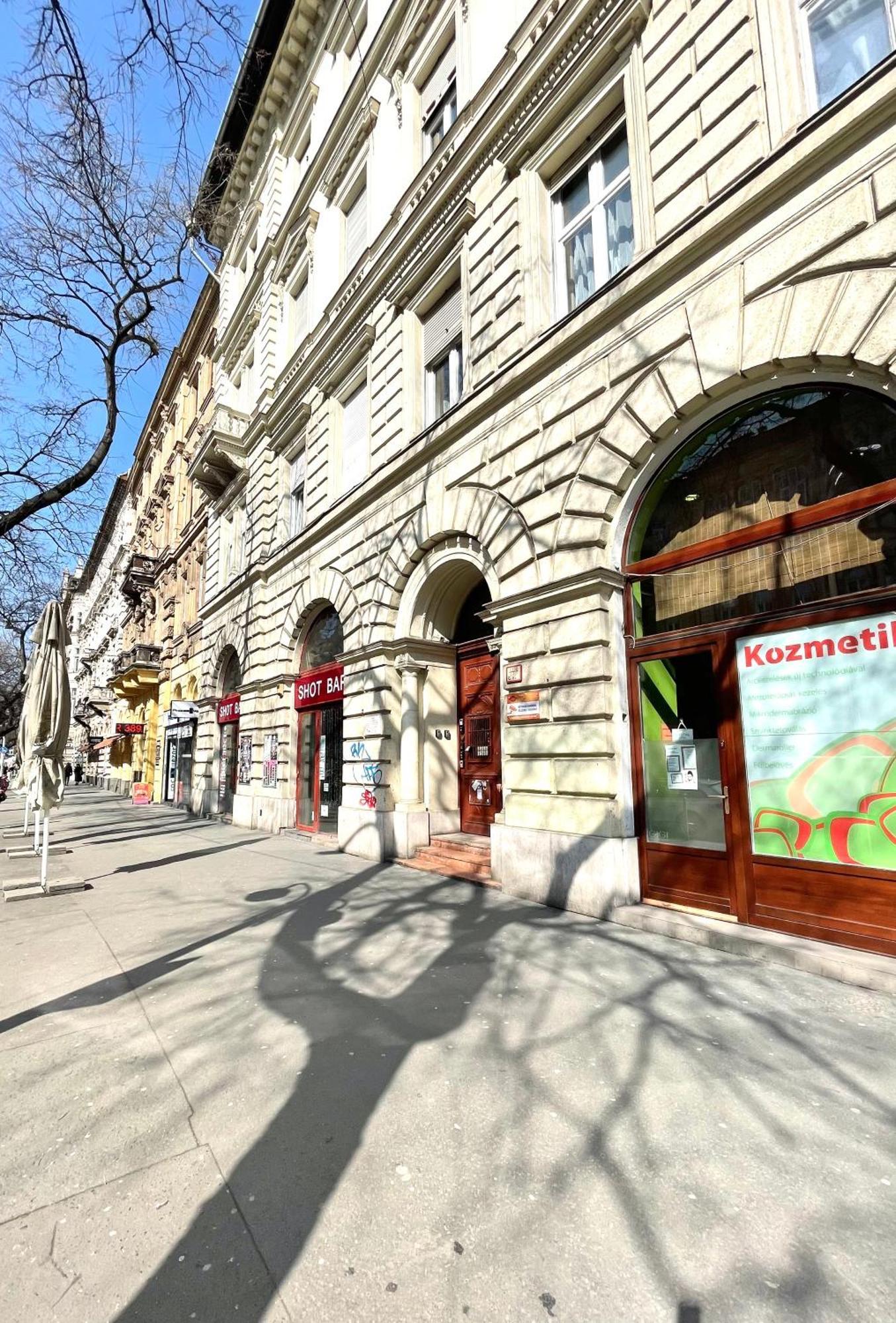 Amazing Swedish 3 Rooms Apartment In The City Center Budapest Kültér fotó